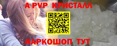 СК Шахты