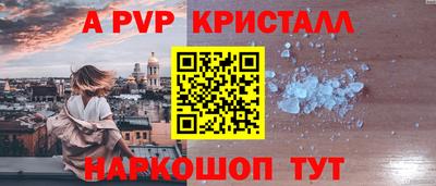 СК Шахты