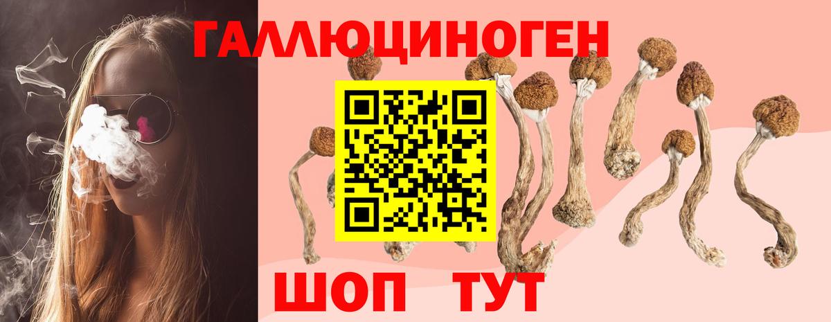 закладка  Галлюциногенные грибы GOLDEN TEACHER  Вход с VPN  Лабытнанги 